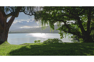 Fiji, Tana Island: Lush vegetation, a Nature Photo by Goinyk