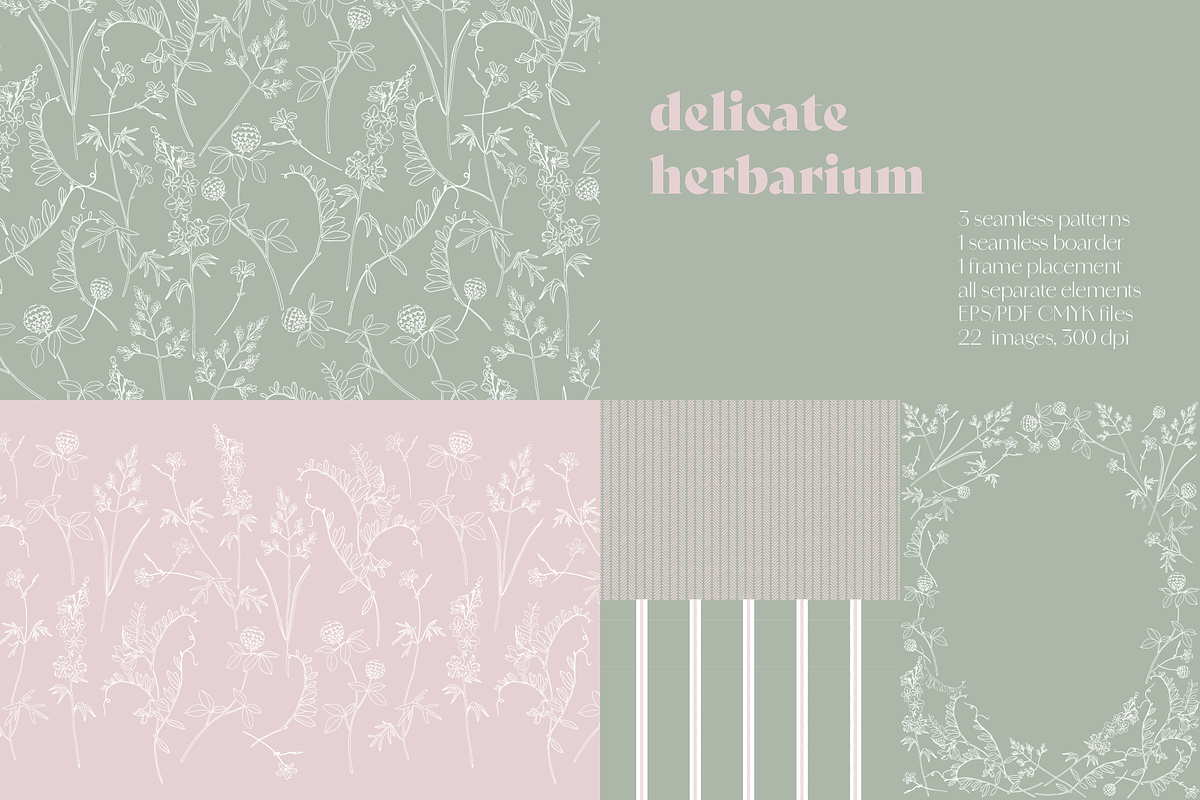 Delicate Herbarium Seamless Patterns, a Pattern Graphic by Maria Budarkiewicz (Photo 1 of 22)