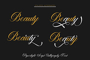 Paperlight Script - Calligraphy Font, a Script Font by PutraCetol Studio (Thumbnail 2 of 11)