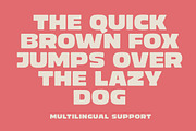 Oakfield | Bold Sans-Serif, a Sans Serif Font by Typeskets (Thumbnail 5 of 10)