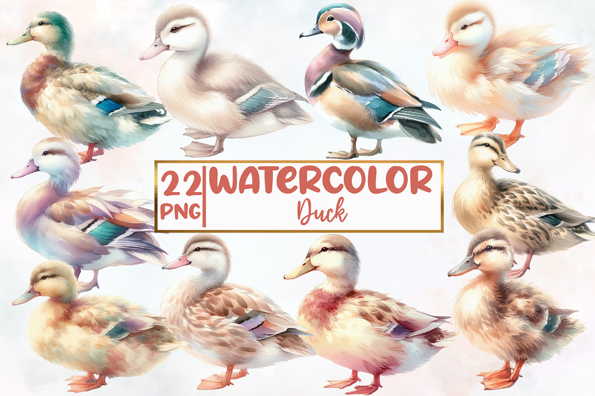 Watercolor Duck clipart, an Illustration by Designworld (Photo 1 of 6)