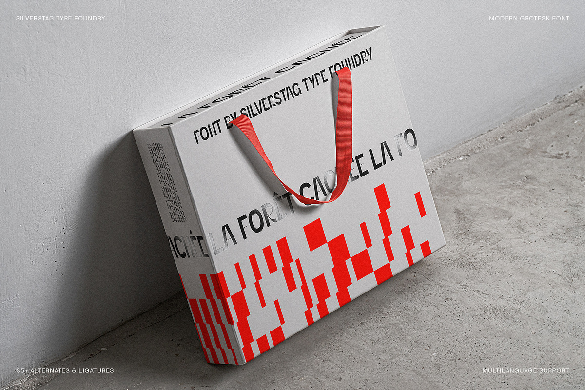 SLTF Refugio - Modern Grotesk Font, a Sans Serif Font by SilverStag Type Foundry (Photo 28 of 30)