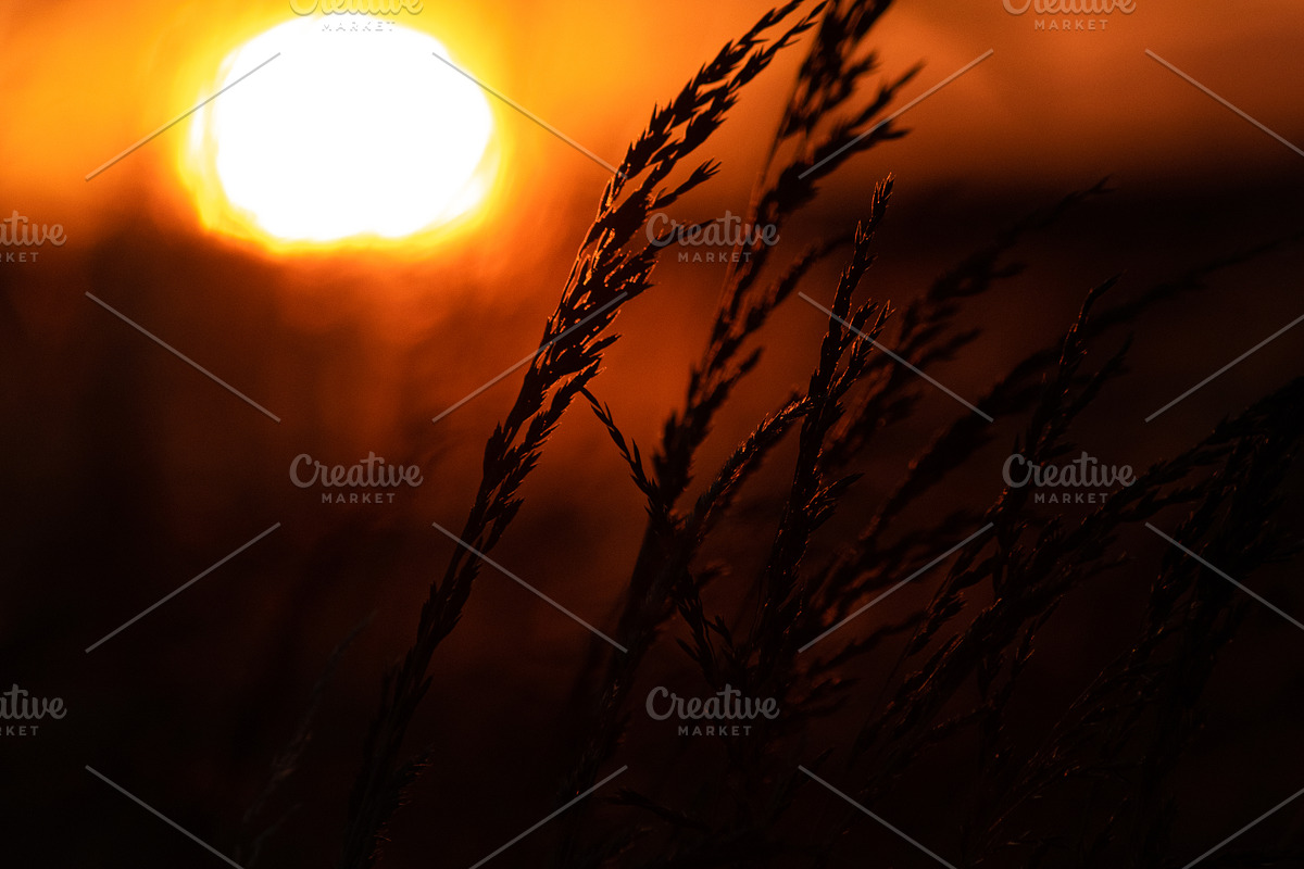 Cropfield sunset Bundle, a Nature Photo by Photo shack (Photo 6 of 6)