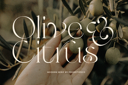 Olive & Citrus - Modern Serif, a Serif Font by Prioritype Co