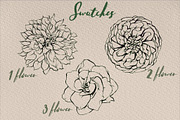 5 Flower Stamps - Procreate Brushes, a Brush Add-On by Kseniya Kaftaylova (Thumbnail 2 of 6)