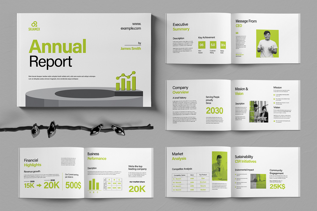 Creative Annual Report Design, a Brochure Template by ContestDesign (Photo 1 of 5)