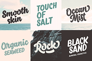 Salty -$30 off!, a Script Font by Fenotype (Thumbnail 13 of 17)