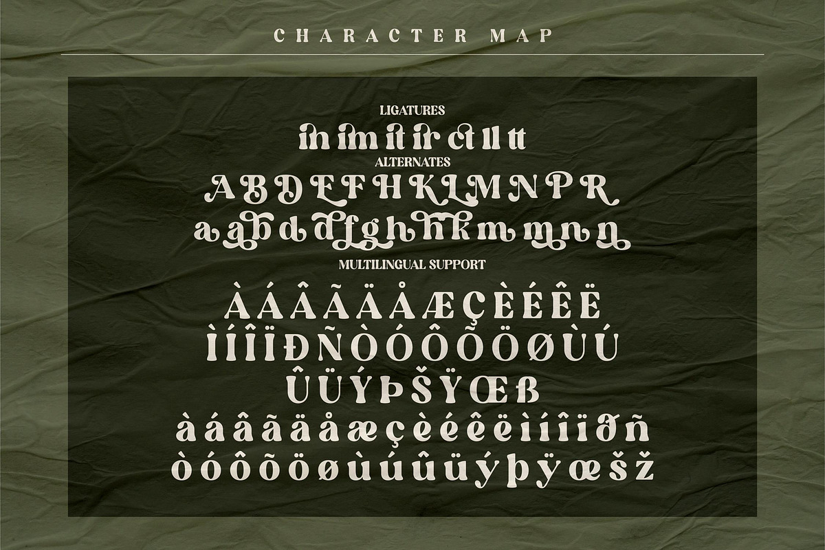 Elinga Classy Serif Font, a Script Font by Storytype Studio (Photo 7 of 8)