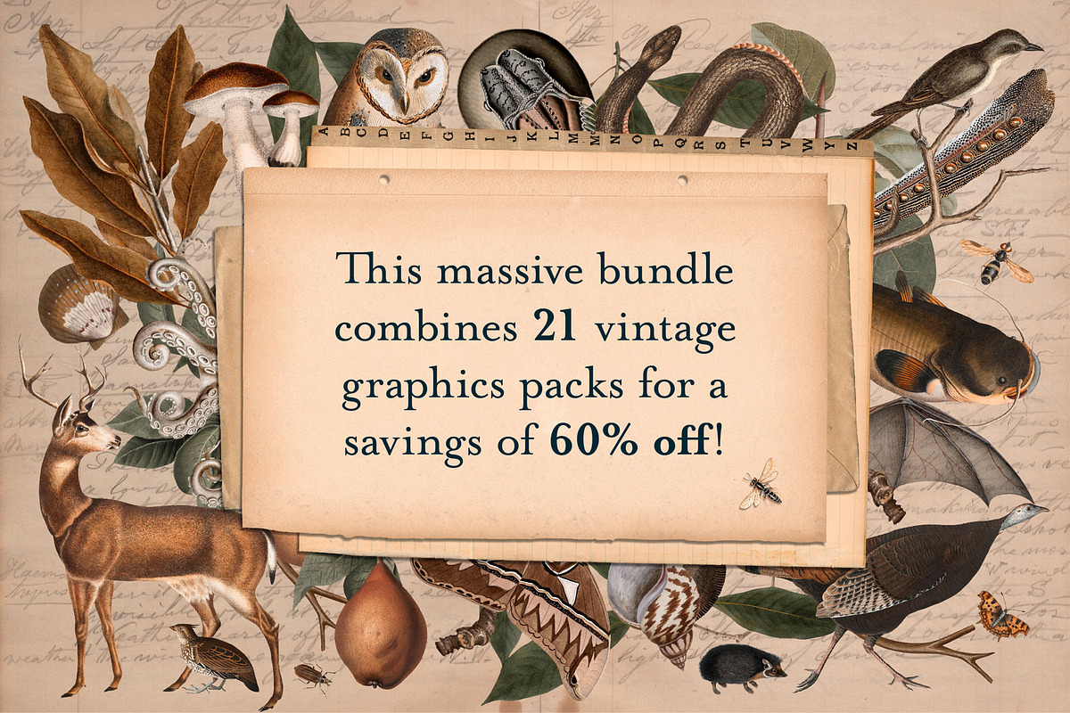 Vintage Bundle – 60% Off! – 21 Packs, an Object Graphic by The Object Atlas (Photo 2 of 26)