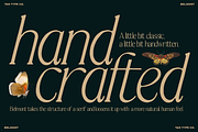 TAN-BELMONT-HANDWRITTEN SERIF, a Serif Font by TanType (Thumbnail 9 of 10)