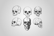 Skull Designs (Vector), an Object Graphic by BIOWORKZ (Thumbnail 2 of 5)