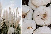 Farmhouse Fall Styled Stock Photos, a Holiday Photo by LaPorte Images (Thumbnail 3 of 12)