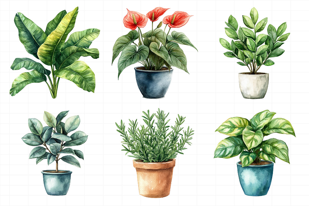 Watercolor Home Plants Clipart, an Illustration by Daily.Designs (Photo 3 of 8)