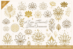 Lotus Flowers & Floral Ornaments