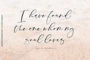Modern Summer Calligraphy Logo Font, a Script Font by Mila Garret (Thumbnail 6 of 14)