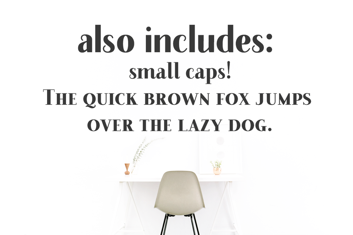 Farewell Angelina font family, a Serif Font by Ana's Fonts (Photo 11 of 11)