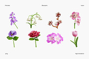 Spring Flowers 3D Icon Set, an Environmental 3D Model by Eklip Studio (Thumbnail 2 of 3)