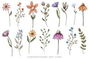 Painted Watercolor Flowers Clipart