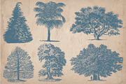 Vintage Illustrations - Trees, an Object Illustration by Mr Vintage (Thumbnail 4 of 5)