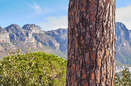Trails of Table Mountain National Park, a Photo by Peopleimages.com