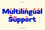 Sokochi - Bold Modern Ligature Font, a Font by Pekotype (Thumbnail 6 of 15)