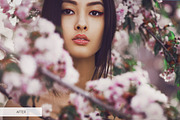 Affinity Photo Presets, a Plug-in Add-On by FixThePhoto (Thumbnail 20 of 31)