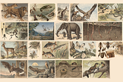 Alfred Fiedler Täubler’s Animals, an Animal Illustration by Digital Museum (Thumbnail 5 of 12)
