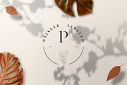 520 A to Z Floral Logos Bundle, a Branding & Logo Template by AN Productions (Thumbnail 128 of 223)