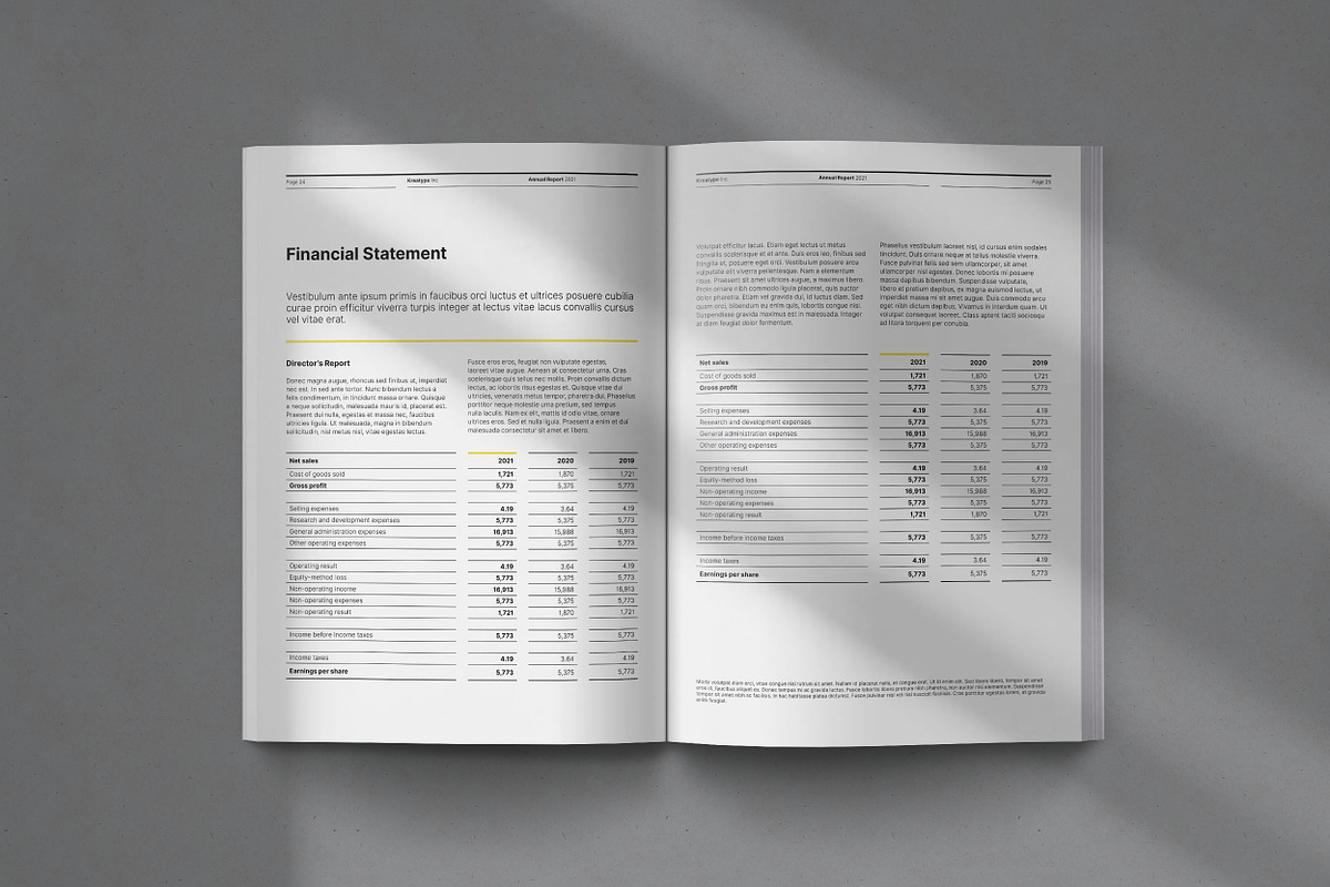 Kreatype Annual Report, a Brochure Template by Kreatype Studio (Photo 13 of 17)