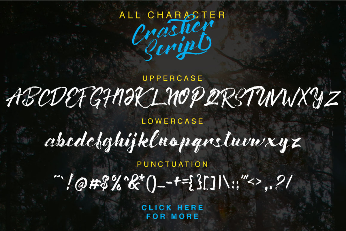 Crasher Script preview 5