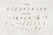 Luminary - Aesthetic Script Font, a Script Font by Inviline.co (Thumbnail 3 of 11)