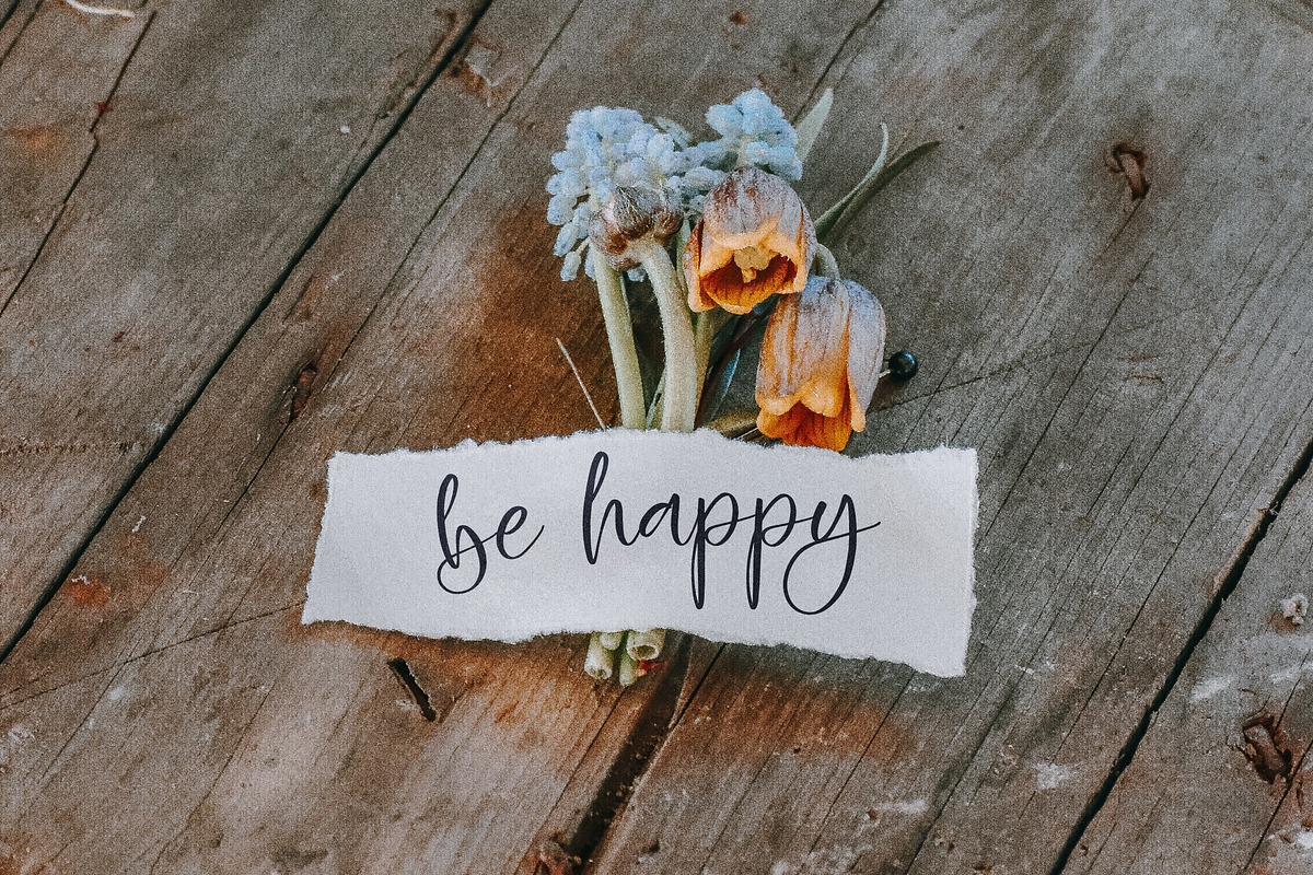Zofia Larsonty Modern Handwritten, a Script Font by Letterena Studios Script (Photo 10 of 15)