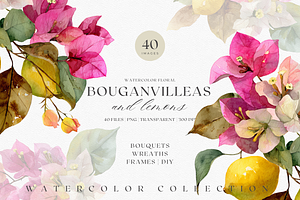 Watercolor Bouganvilleas and Lemons, a Decorative Illustration by ThaismotaCreativeCo