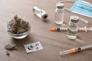 Detail of dust mite allergy treatment by vaccination front view, a Health & Medical Photo by Davizro's Market