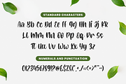 Bottania, a Script Font by RockboyStd (Thumbnail 10 of 12)