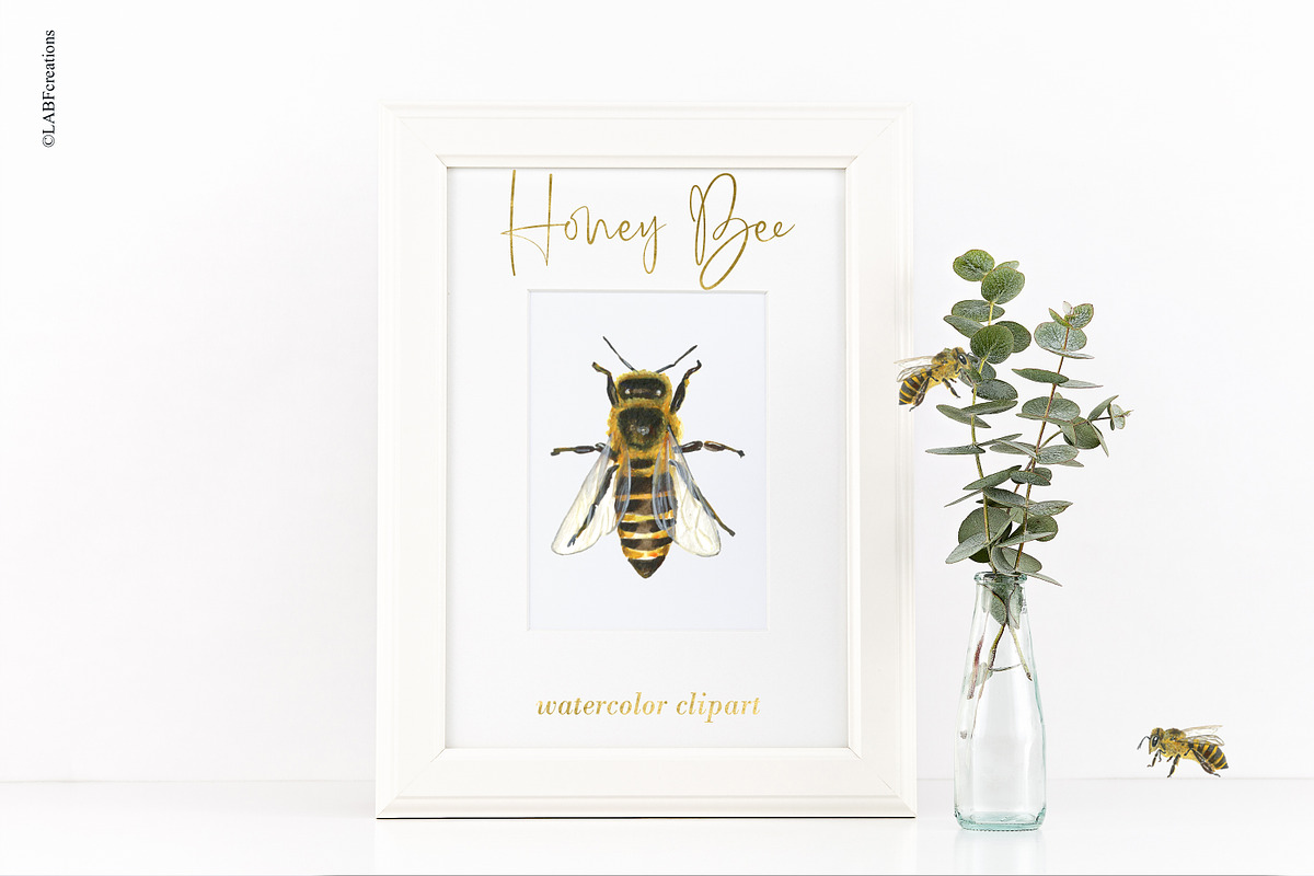 Honey Bee Watercolor, a Graphic by LABFcreations (Photo 3 of 9)