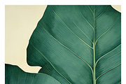 Bief Co · Botanical Leaf Backgrounds, a Texture Illustration by milatovar (Thumbnail 18 of 21)