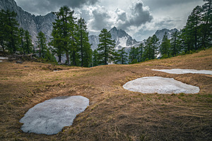 Snow stains on the glade, a Nature Photo by Alpine Dreams