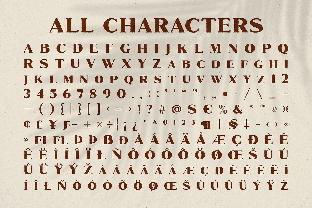 Marques Rounded Rough, a Serif Font by Craft Supply Co. (Photo 8 of 8)