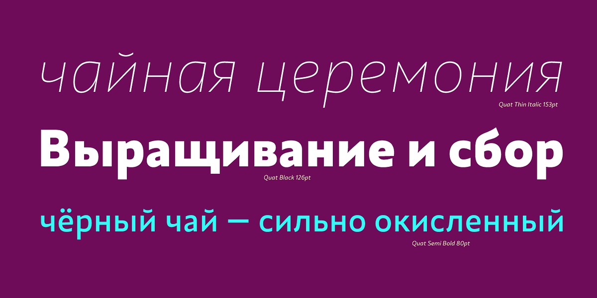 Quat, a Sans Serif Font by Ani Dimitrova (Photo 6 of 15)