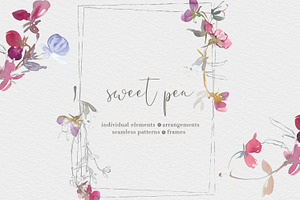 Watercolor Sweet Pea Clipart Set