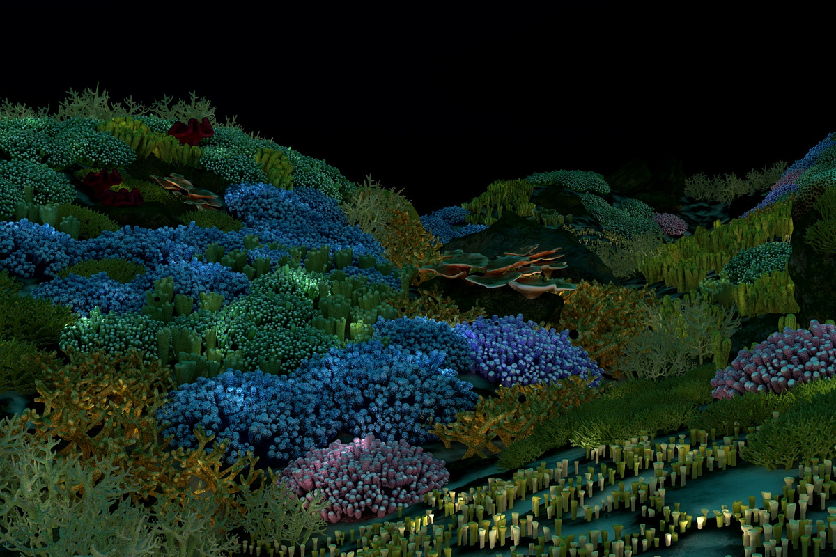 3D Cartoon Underwater Coral Reef Hab, an Environmental 3D Model by NOMODOL (Photo 20 of 24)