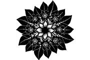 Round Floral Mandala Bundle, a Decorative Illustration by Designer_Momina (Thumbnail 14 of 19)