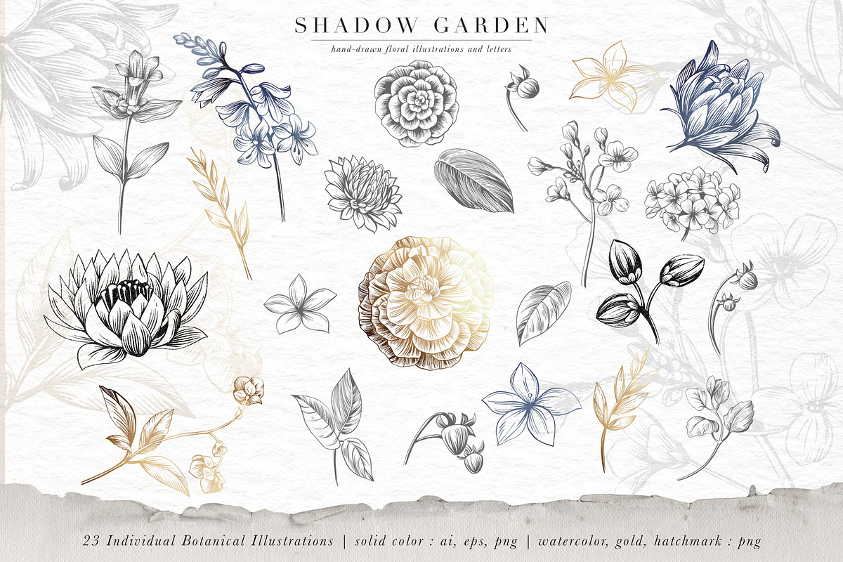 Shadow Garden Botanical Monograms, an Illustration by Eclectic Anthology (Photo 4 of 15)