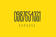 Terek font, a Script Font by Visio studio (Thumbnail 11 of 11)