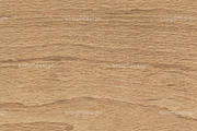 Beech Textures, a Texture Graphic by SimplDesign (Thumbnail 6 of 10)