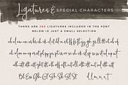 Musette Script, a Script Font by DISTRICT 62 STUDIO (Thumbnail 8 of 8)