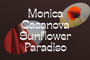 Bougerose a Modern Display Font, a Sans Serif Font by Typetemp Studio (Thumbnail 2 of 16)