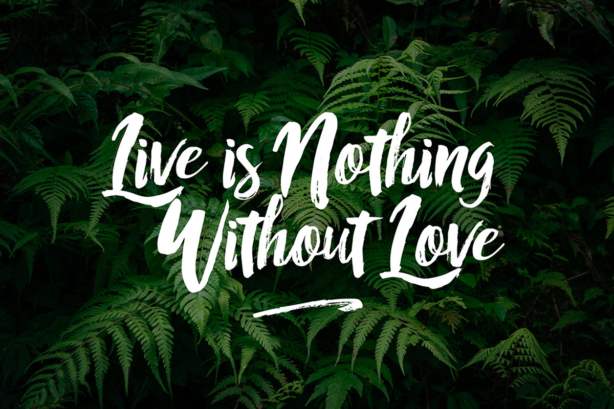 RofiTaste Typeface, a Script Font by alit design (Photo 11 of 11)