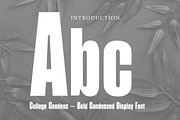 College Condens, a Slab Serif Font by Wow Magic (Thumbnail 2 of 3)
